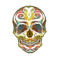 Colored skull with patterns. Element for design