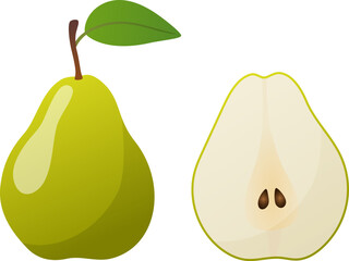 Green pear vegetable vector sketch
