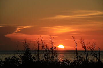 Obraz premium Sunset is bounded by a mirage of sky and sea, there are silhouettes in the foreground of tree branches and boats