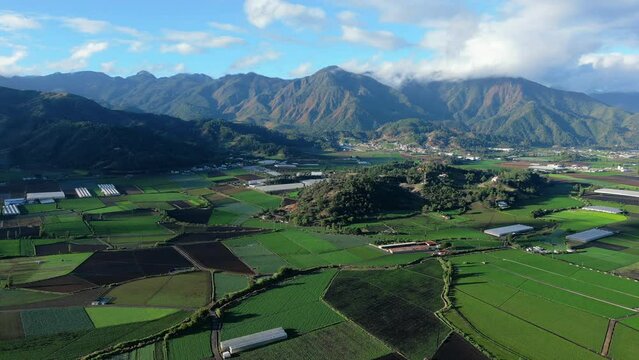 Aerial view of green sown fields surrounded by mountains in the Constanza town. Plantations of vegetables and fruits in Dominican republic