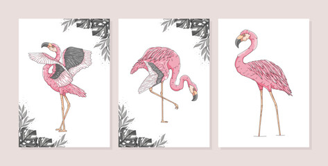 hand drawn exotic flamingo poster template collection