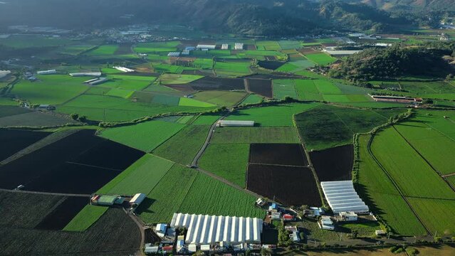 Aerial view of green sown fields in the Constanza town. Plantations of vegetables and fruits in Dominican republic