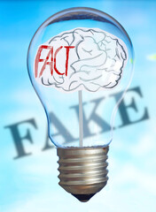 fake news concept with human brain inside of Light bulb and blurred caption fake in the back, symbol