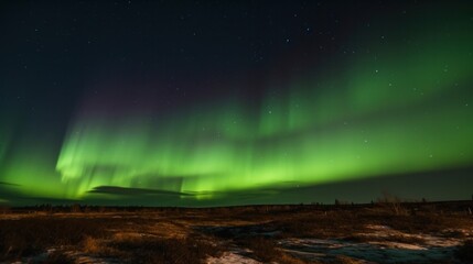 A large cloud of aurora borealis spreading above a boreal forest. Generative AI.