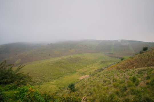 View of an area of crops on the slope of a hill covered in fog.