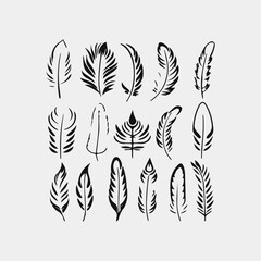 Set of feathers isolated on white vector