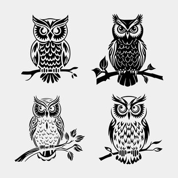 set of Royal Owl Vector Design