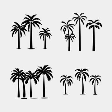 Palm tree set template vector illustration