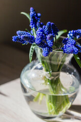 Blue Flowers under the Sun's Rays Spring Aesthetics