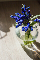Blue Flowers under the Sun's Rays Spring Aesthetics