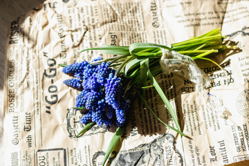 Bouquet of Blue Muscari Flowers
