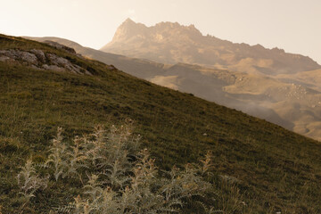 Majestic mountain landscape - high rock yellow bizarre ridge in pastel golden sunbeams of early morning sun with white soft mist, green slopes with  thistle, panorama view on valley in autumn.
