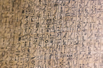 Ancient Egyptian hieroglyphs on papyrus - Cairo