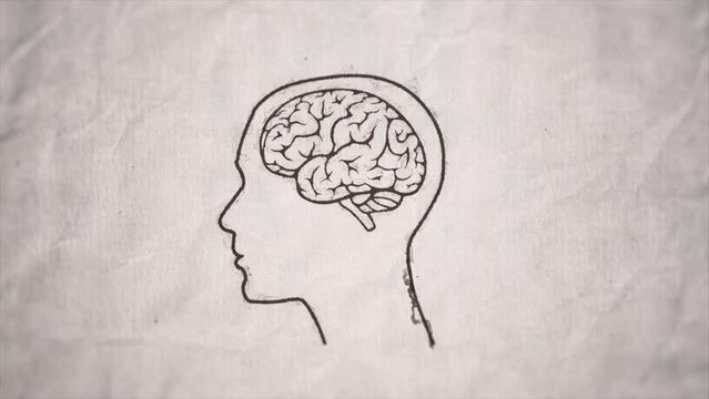 Vintage Ink Drawing Of Woman Brain/ 
4k animation of a motion graphics with with female human head profile and brain shapes ink painting on vintage old torn paper background 