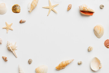 Summer time concept Flat lay composition with beautiful starfish and sea shells on colored table, top view with copy space for text