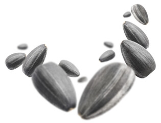 Flying sunflower black seeds, cut out
