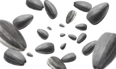 Flying sunflower black seeds, cut out