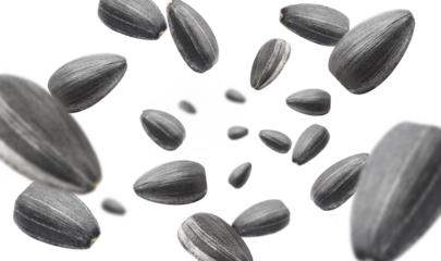 Flying sunflower black seeds, cut out