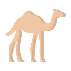 Camel Flat Icon