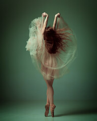 Back view of one ballet dancer, woman wearing elegant dress posing on tiptoes over dark green studio background © Lustre Art Group 