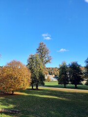 Obraz premium Autumn landscape with trees