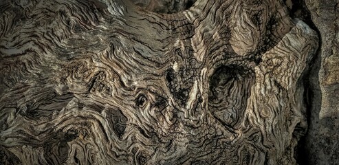 Rough wooden texture