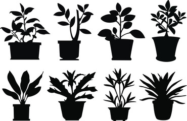 Set of potted plant silhouettes. Potted plant icons set. Potted plant vector illustrations set - obrazy, fototapety, plakaty