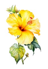 Yellow hibiscus flower isolated on white background, watercolor illustration. Generative AI.