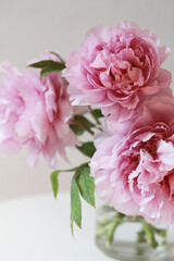 Pastel pink peony flowers bouquet in a glass vase on white background. 