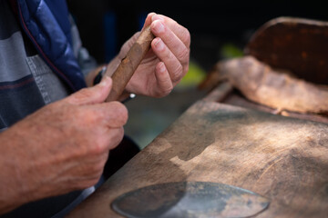 Process of making traditional cigars from tobacco leaves with your hands using a hand device. Tobacco leaves for making cigars. Close up of senior hands making cigars.