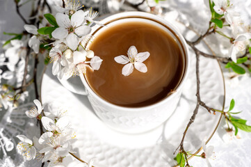 Flower floating in cups with coffee. Blooming garden, blossoming tree branches. Spring mood. Spring still life composition. good morning concept