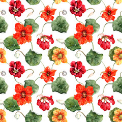 Trendy floral seamless pattern with bright nasturtium flowers, buds curly stem with green leaves. Hand drawn watercolor illustration white background for fabric, textile, wallpaper, interior, clothes.