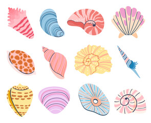 Tropical seashell. Cartoon clam, oyster and scallop shells