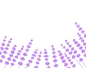 Card frame lavender flowers silhouette vector illustration