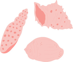 Set sea shells vector illustration