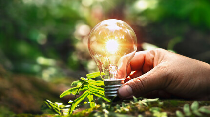 hand holding light bulb on soil with sunshine. concept saving power energy in nature