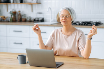 Calm relaxed satisfied middle aged caucasian grey haired woman with glasses, sitting at home in the...