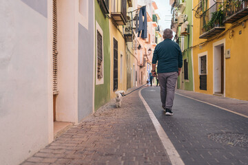 Fototapeta na wymiar Back picture of gray-haired gentleman walking his white curly haired dog through colorful streets.