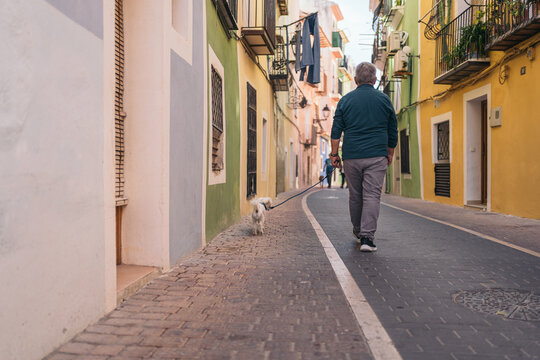 Back picture of gray-haired gentleman walking his white curly haired dog through colorful streets.