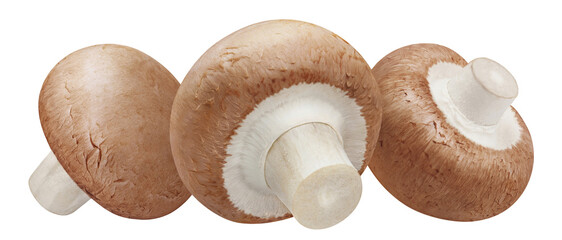 Three delicious mushrooms cut out