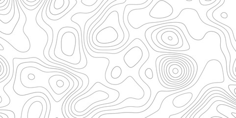 Abstract design with black and white abstract background . Topography map concept. 3d rendering . Creative and similar design with white and black tone paper cut wave curve with blank