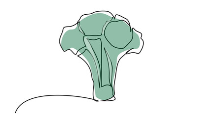 fresh ripe broccoli vegetable green line art