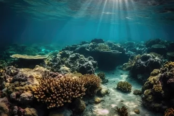Foto op Aluminium Sea reef bottom. Ai © rul8let