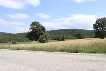 roadside landscape photo