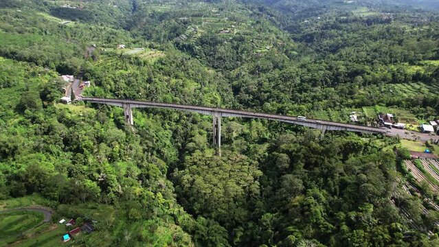 Beautiful mountainous area covered with green tropical thickets, large high bridge crosses gorge. Aerial view of Jembatan Tukad Bangkung, balanced cantilever concrete construction, upland of Bali