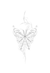 black and white butterfly