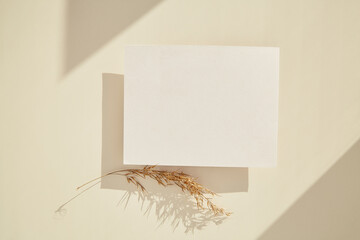 Minimalistic stationery card mock up. Aesthetic layout under sunny shadows. Invitation, greeting, wish list, Mothers Day concept. Concept of new life, zero waste, sustainable, eco-friendly .