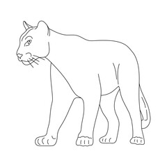 Puma in line art drawing style. Vector illustration.