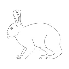 Sketch of Rabbit. Hand drawn vector illustration.
