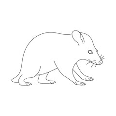 Possum in line art drawing style. Vector illustration.
